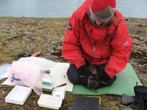 Cecilia holds the duck for sampling