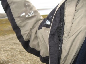 tern shit on my jacket