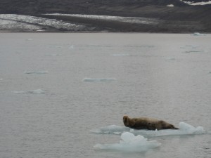 calving glacier