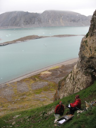 view from the bottom of the bird cliff.