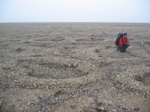 stone circles made by nature