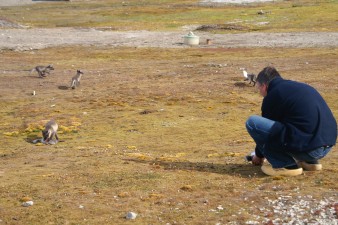 Maarten makes a video about the foxes