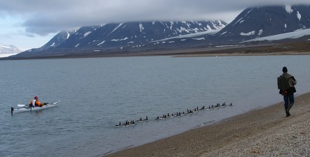 a stroll along the beach