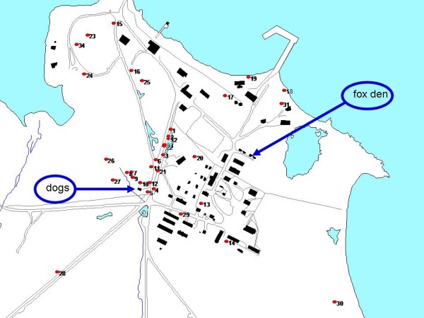 red dots are tern nest in July 2006