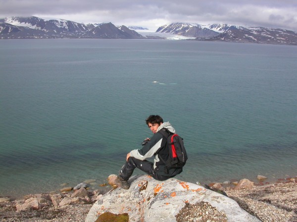 beluga's in het fjord