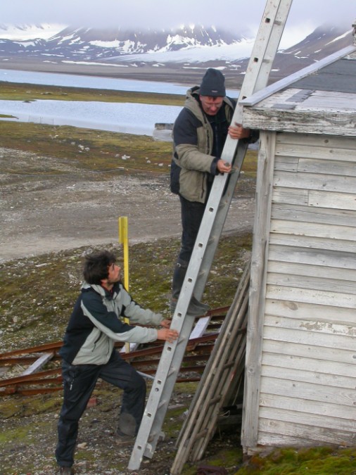 climbing to a nest