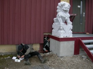 another nest under the Chinese station