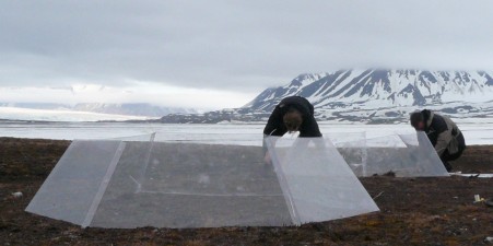 Securing the green houses