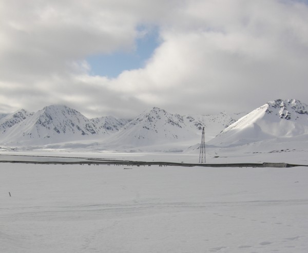 Where are the vegetation plots?