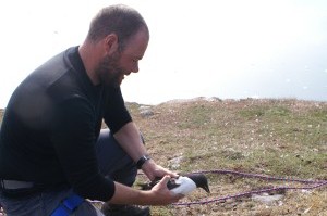 Vincent releases the bird