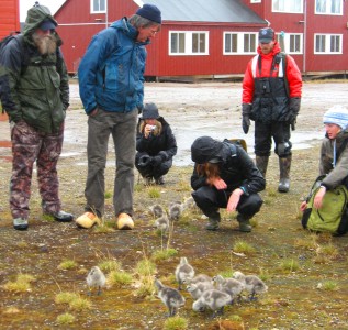 lecture in the field