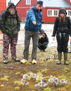 lecture in the field