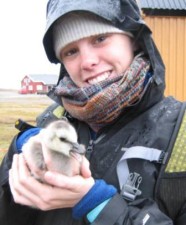 releasing goslings