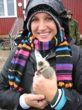 releasing goslings