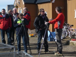 migratory birds need to travel before they experience the warming arctic