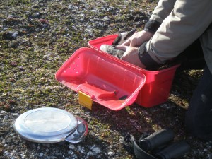 Weighing the geese