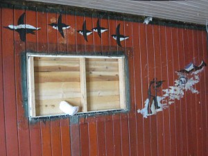 guillemots and polar bear hunt