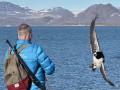 20260615 vogel aanval